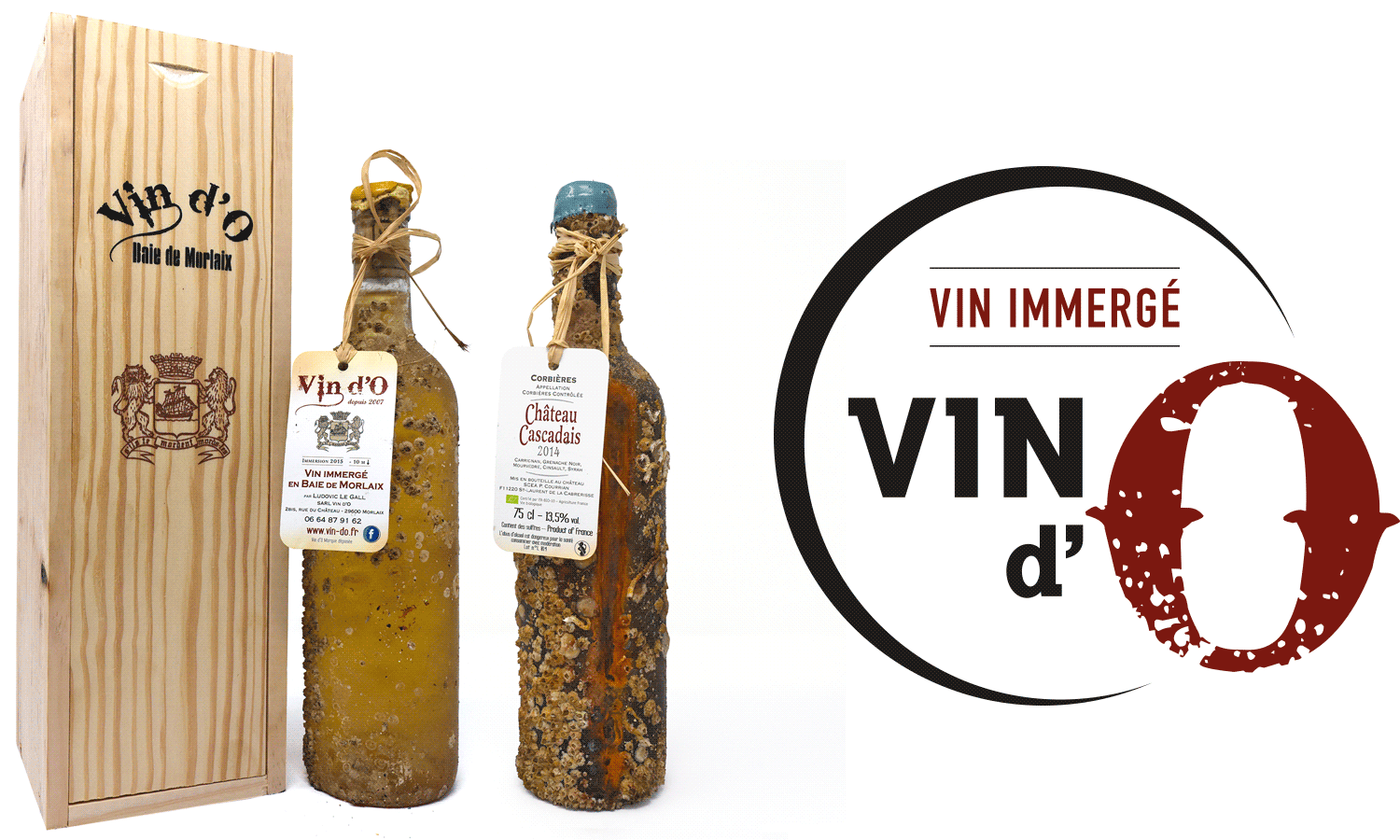 Coffret vin Bordeaux immergé en eau de mer Melle Sophie